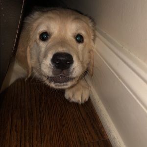 Meet your Posher, Marigrace